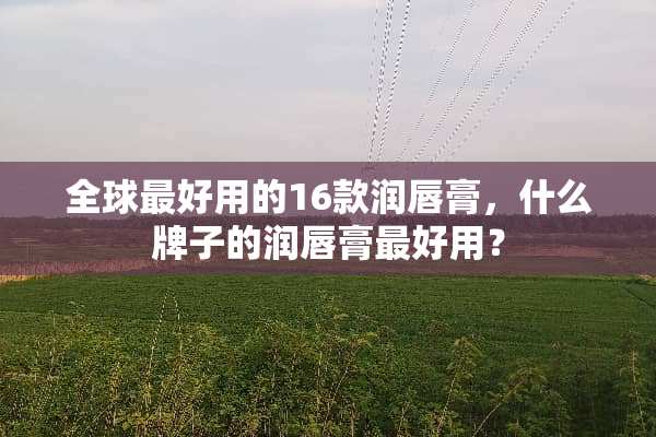 全球最好用的16款润唇膏，什么牌子的润唇膏最好用？