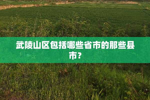 武陵山区包括哪些省市的那些县市？
