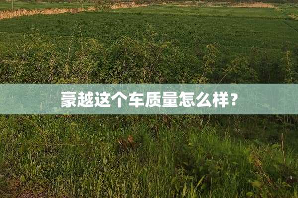 豪越这个车质量怎么样？
