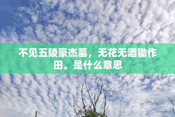 不见五陵豪杰墓，无花无酒锄作田。是什么意思