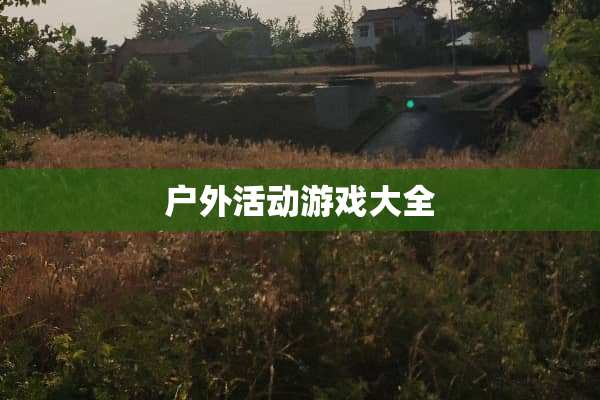 户外活动游戏大全