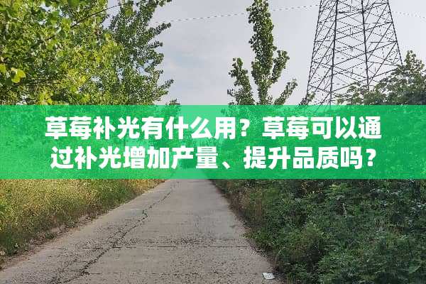 草莓补光有什么用？草莓可以通过补光增加产量、提升品质吗？