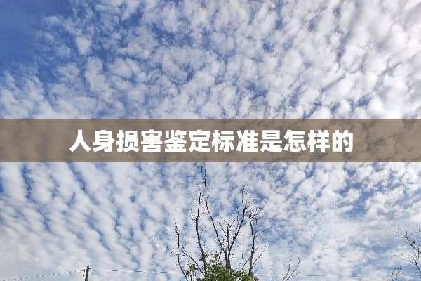 人身损害鉴定标准是怎样的