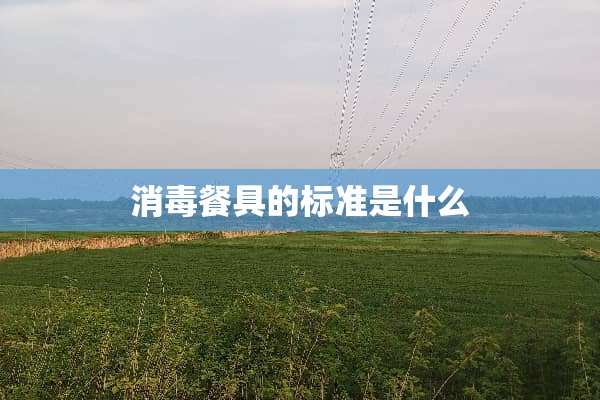 消毒餐具的标准是什么