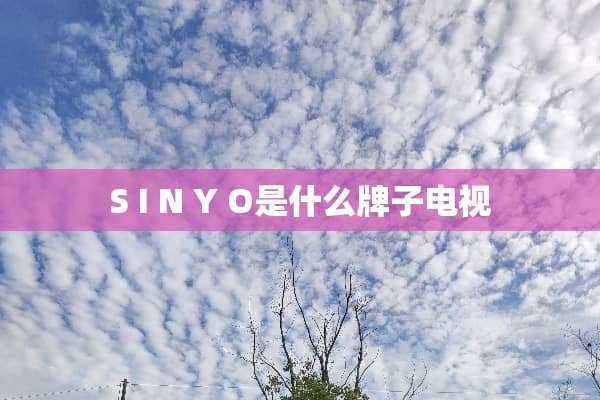 S I N Y O是什么牌子电视