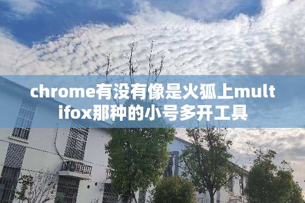 chrome有没有像是火狐上multifox那种的小号多开工具
