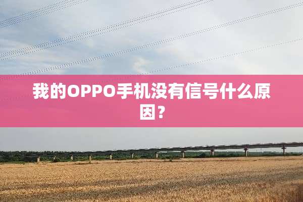 我的OPPO手机没有信号什么原因？