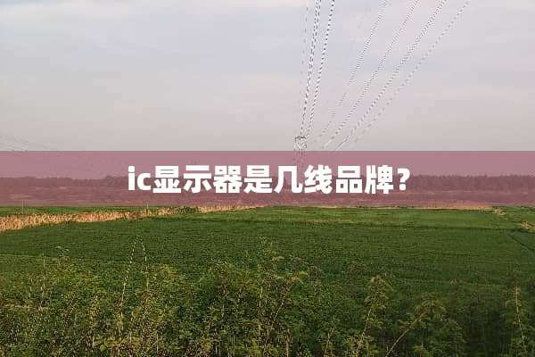 ic显示器是几线品牌？