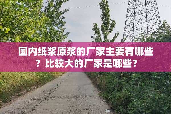 国内纸浆原浆的厂家主要有哪些？比较大的厂家是哪些？