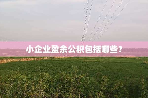 小企业盈余公积包括哪些？