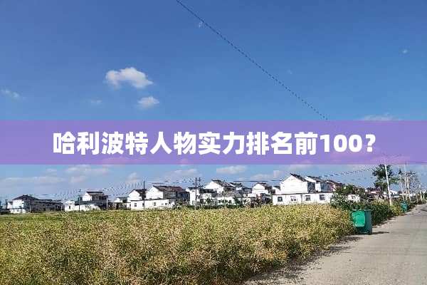 哈利波特人物实力排名前100？