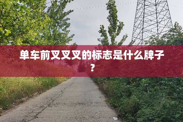 单车前叉叉叉的标志是什么牌子？