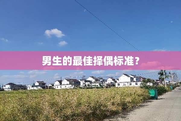 男生的最佳择偶标准？
