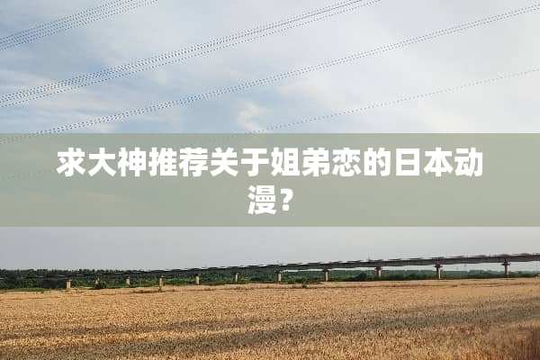 求大神推荐关于姐弟恋的日本动漫？
