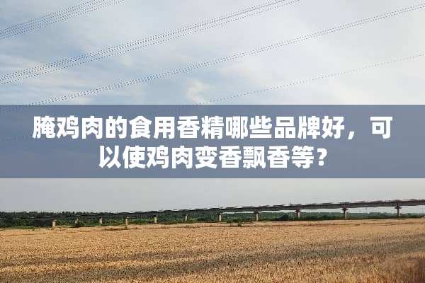 腌鸡肉的食用香精哪些品牌好，可以使鸡肉变香飘香等？