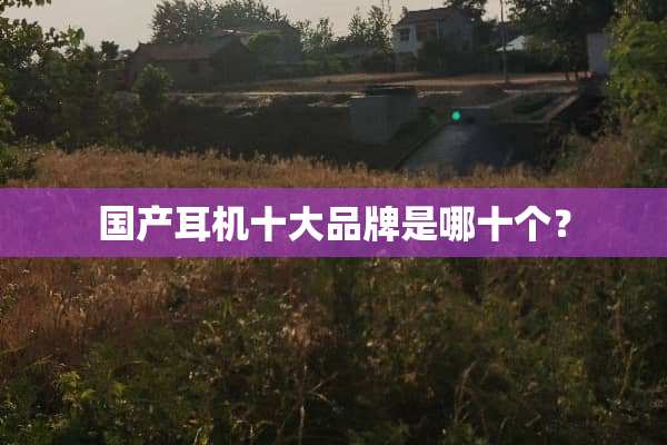 国产耳机十大品牌是哪十个？