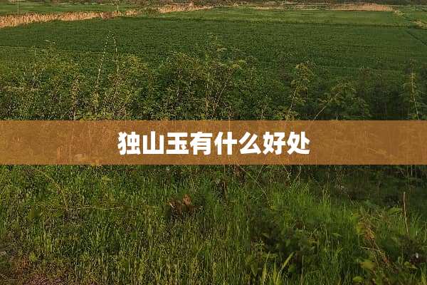 独山玉有什么好处