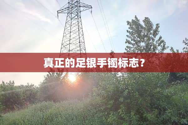 真正的足银手镯标志？