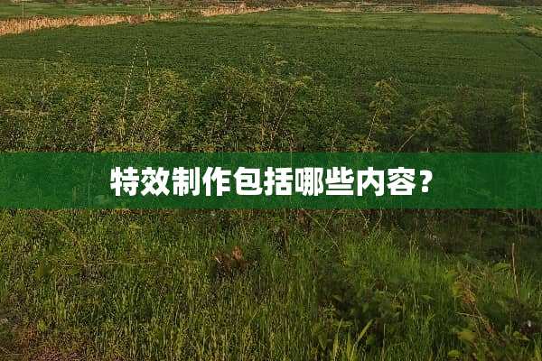 特效制作包括哪些内容？