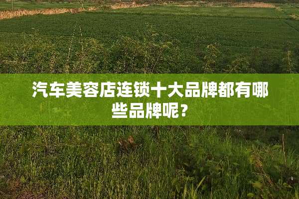 汽车美容店连锁十大品牌都有哪些品牌呢？
