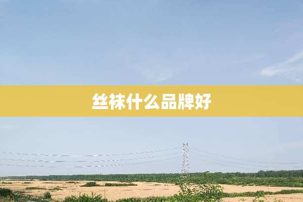 **什么品牌好