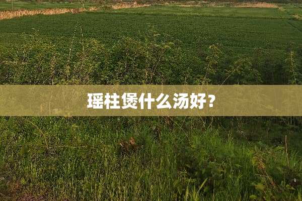 瑶柱煲什么汤好？