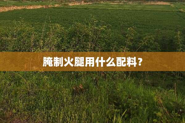 腌制火腿用什么配料？