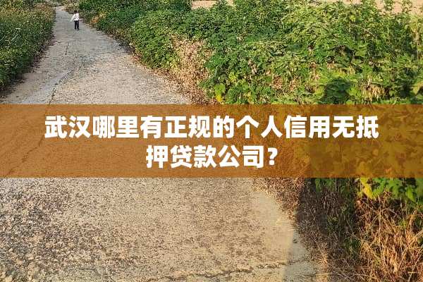 武汉哪里有正规的个人信用***贷款公司？