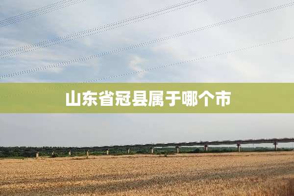 山东省冠县属于哪个市