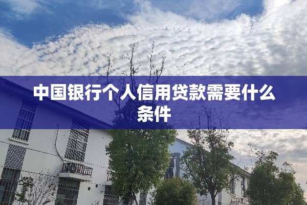 中国银行个人信用贷款需要什么条件