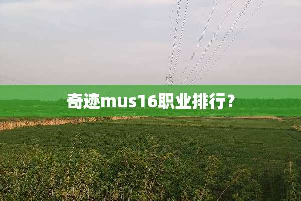 奇迹mus16职业排行？