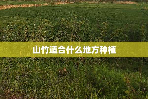 山竹适合什么地方种植