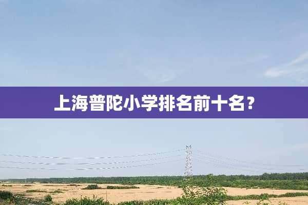 上海普陀小学排名前十名？