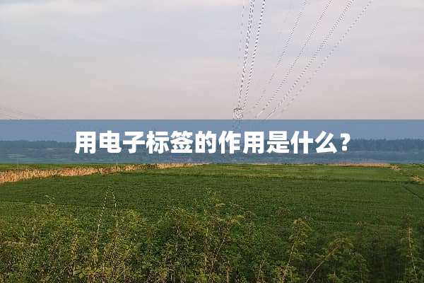 用电子标签的作用是什么？