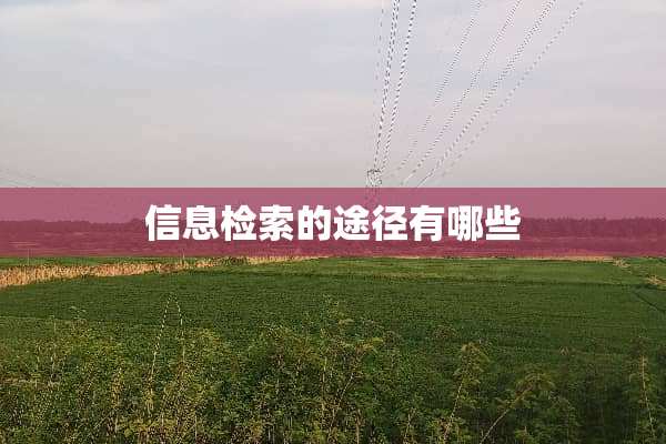 信息检索的途径有哪些