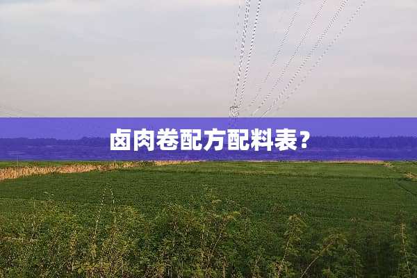 卤肉卷配方配料表？