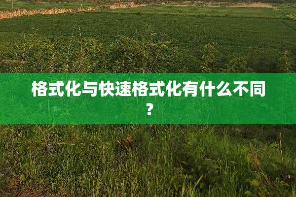 格式化与快速格式化有什么不同？
