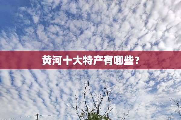 黄河十大特产有哪些？