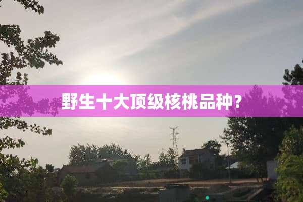 野生十大**核桃品种？