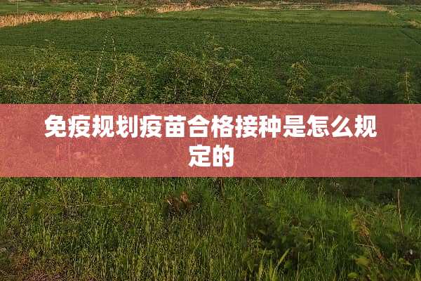 免疫规划**合格接种是怎么规定的