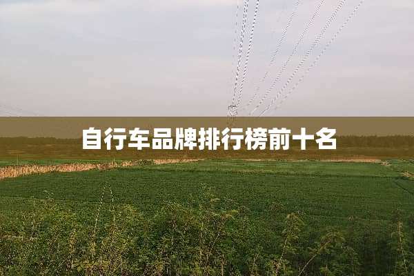 自行车品牌排行榜前十名