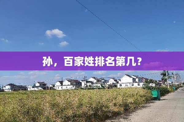 孙，百家姓排名第几？