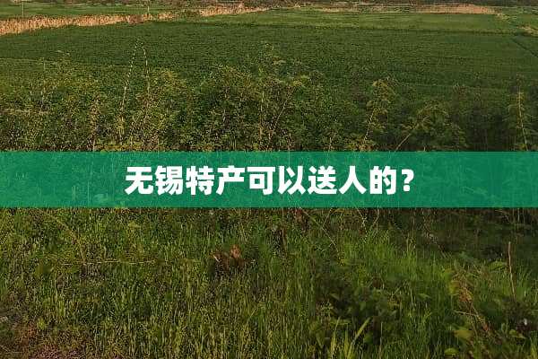 无锡特产可以送人的？