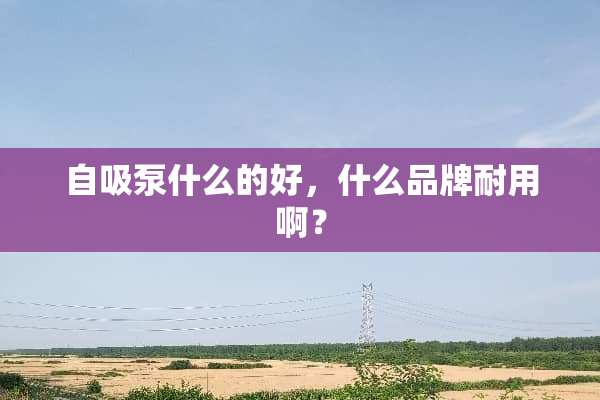 自吸泵什么的好，什么品牌耐用啊？