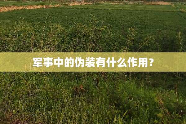 军事中的伪装有什么作用？