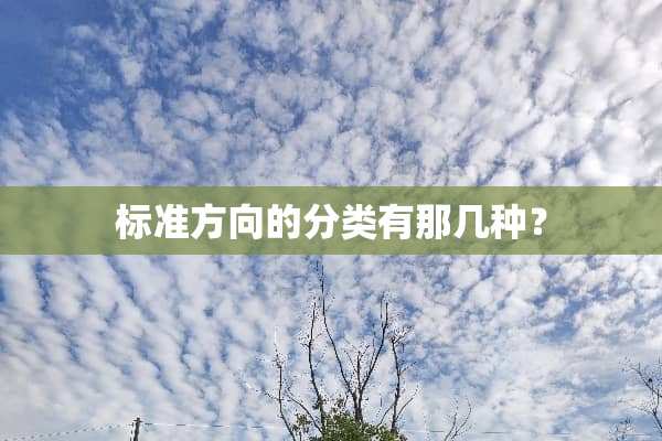 标准方向的分类有那几种？