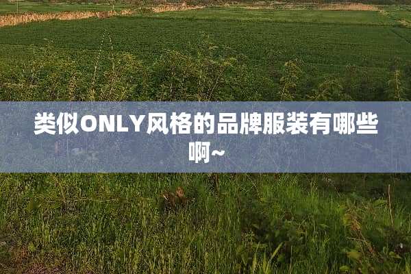 类似ONLY风格的品牌服装有哪些啊~
