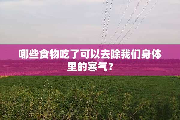 哪些食物吃了可以去除我们身体里的寒气？