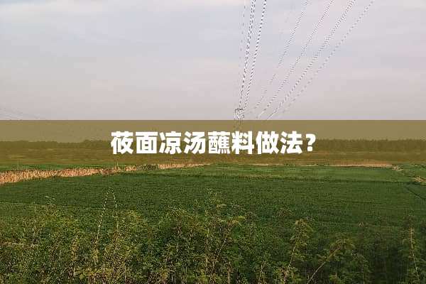 莜面凉汤蘸料做法？
