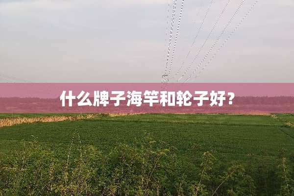 什么牌子海竿和轮子好？